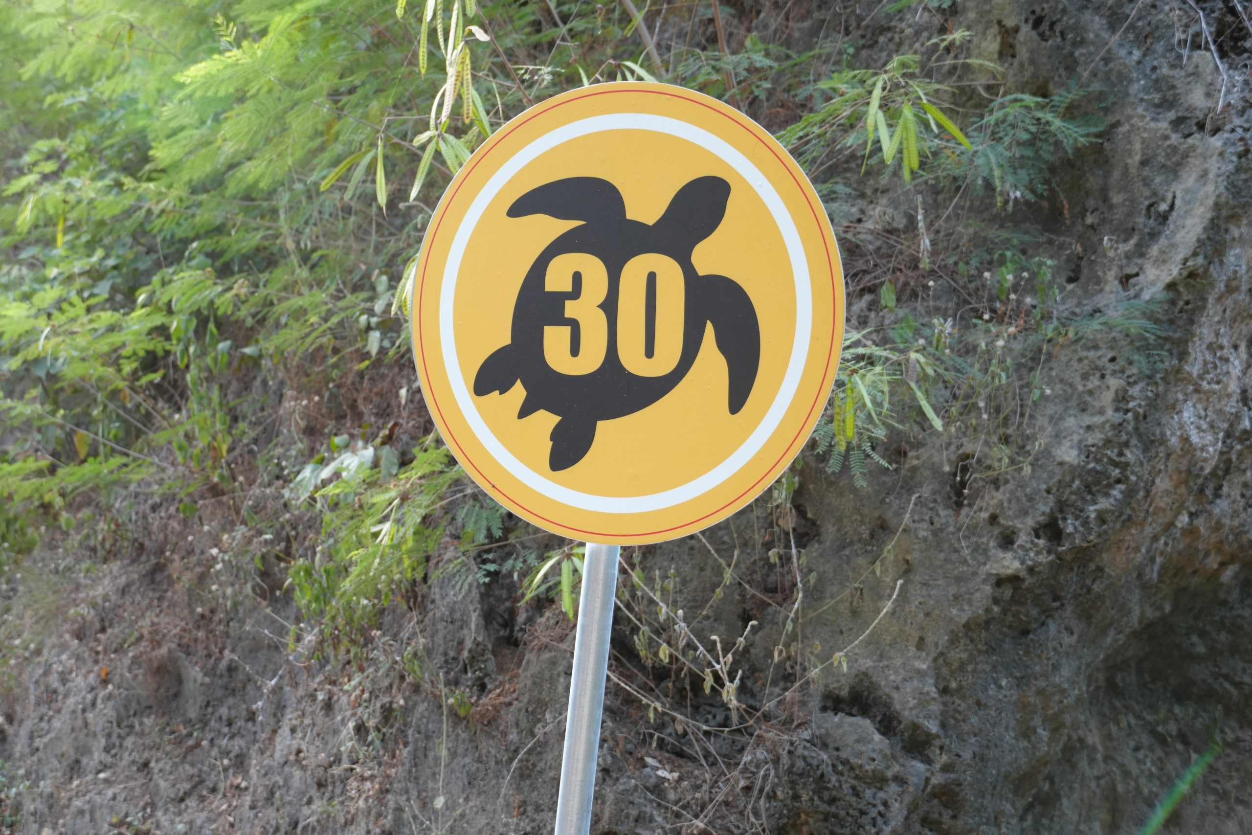 DSC02242 Achtung Schildkräte