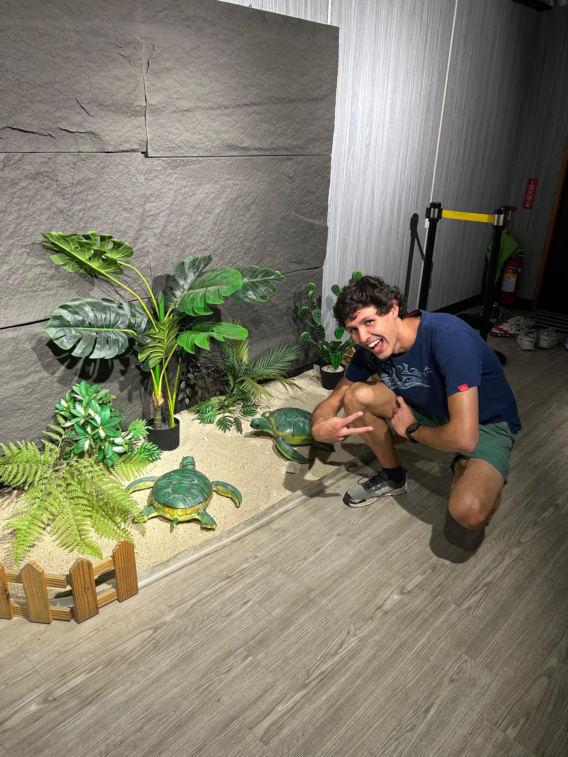 FalscheSchildkröten