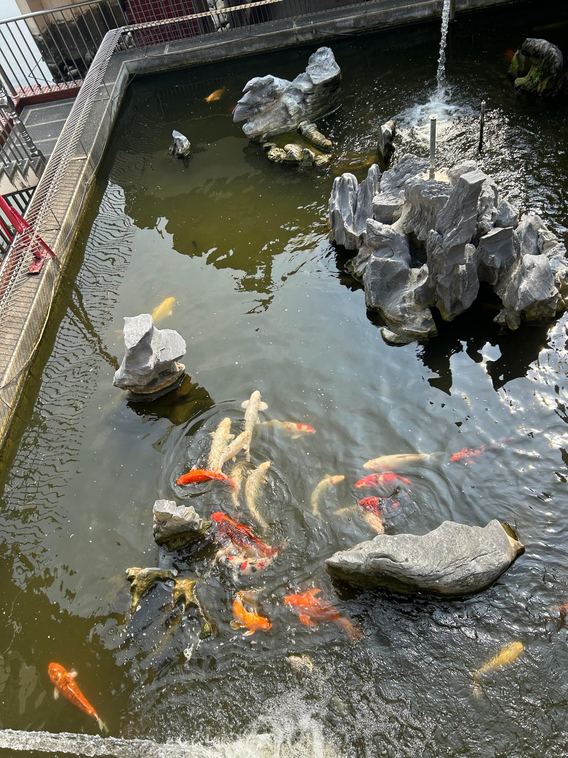 WhatsApp Image 2025-12-03 at 13.39.49